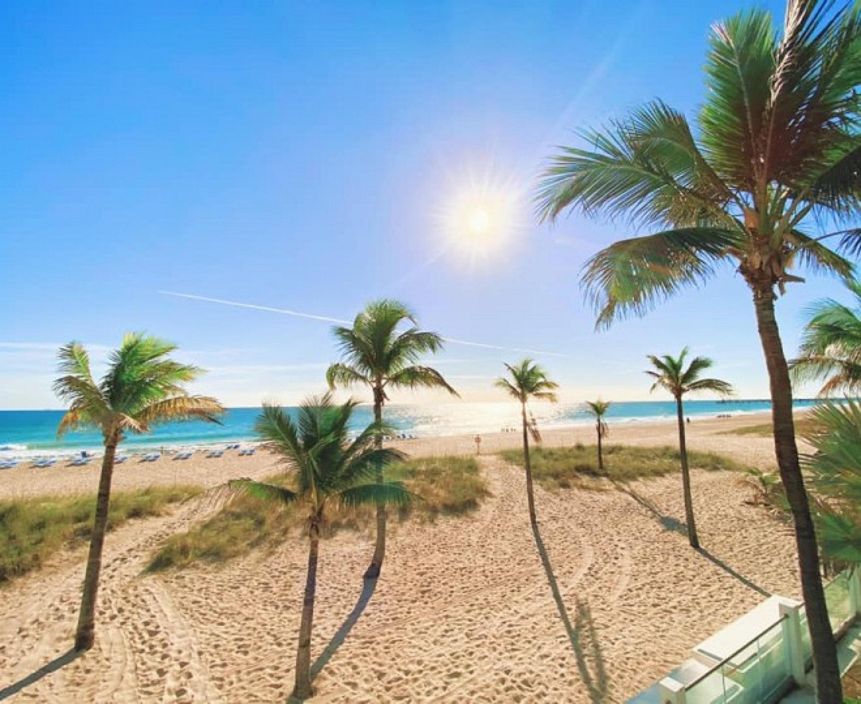 Plunge Beach Resort Fort Lauderdale Exteriér fotografie